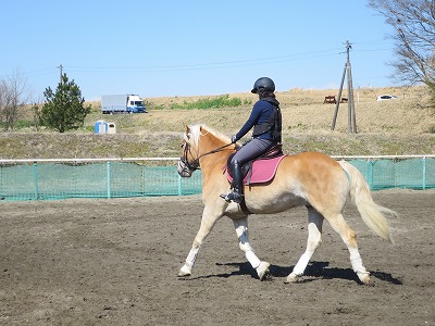 素敵な乗馬体験