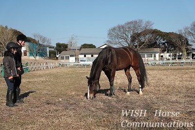 馬と心の交流