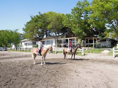 乗馬に必要なのは包容力