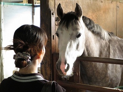 人も馬も癒される乗馬