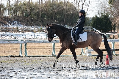 乗馬の心持ち