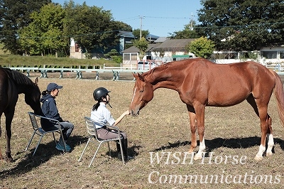 乗馬の楽園