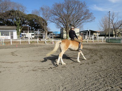 裸馬で人馬一体