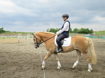 上達に必要なのは馬とのコミュニケーションの練習