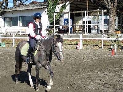 新馬調教アシスタント