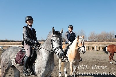 馬の心に寄り添う乗馬