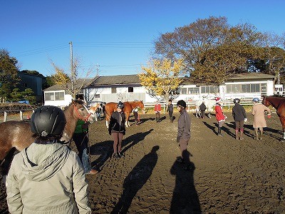 2011ナチュラルホースマンシップクリスマス講習会