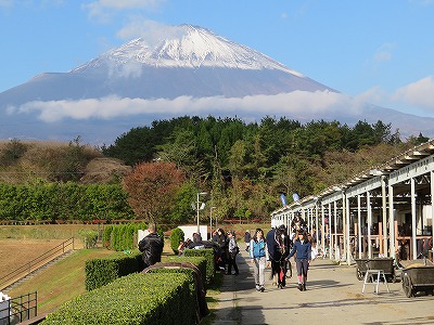 馬が笑顔になる乗馬をしよう！