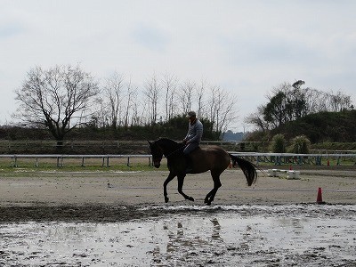 裸馬での騎乗