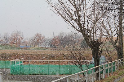 乗馬クラブの雪景色