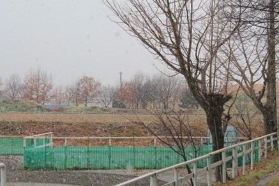 乗馬クラブの雪景色