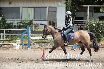 納得の乗馬