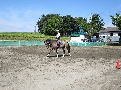 馬が信頼する乗馬