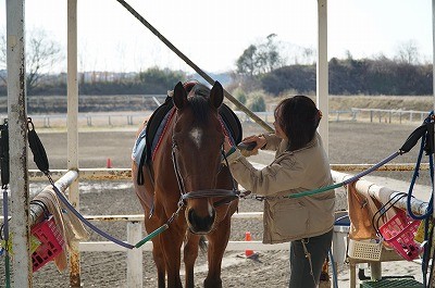 馬と優しい関係