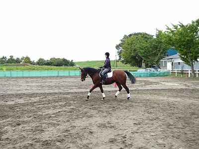 馬との接し方上達したね！