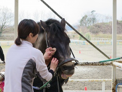 馬が喜んでくれる