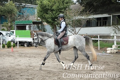 馬の心に寄り添う乗馬