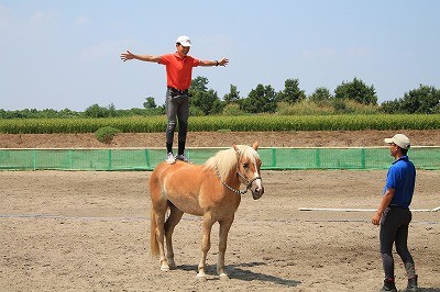 馬と仲良くなるには