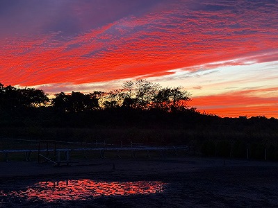 牧場の夕焼け