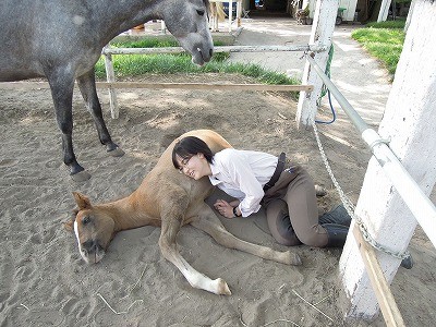 子馬とお昼寝