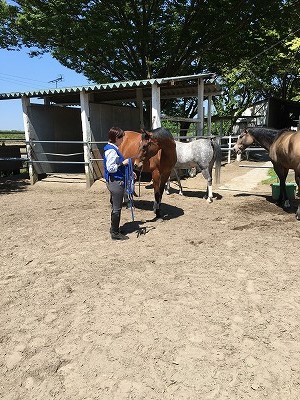馬の話を聞く
