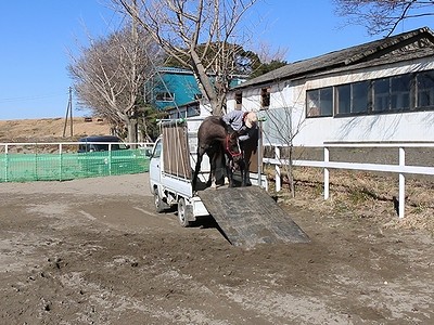 馬運車を教えよう