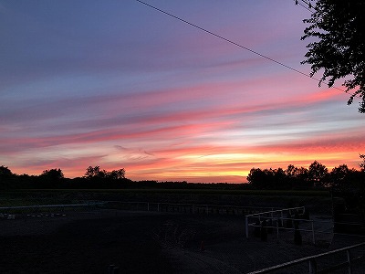 乗馬クラブの夕焼け