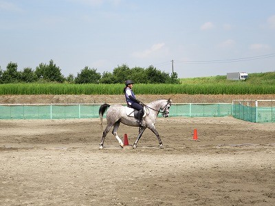 馬と人、ふたつの心