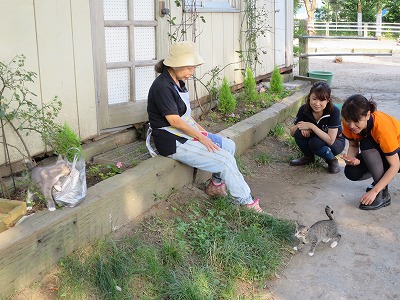 心地良くゆるやかな時間