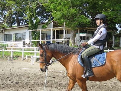 馬とのコミュニケーション