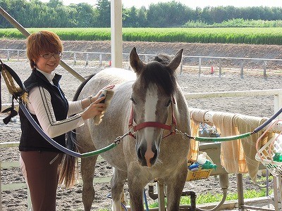ハーフハクニーちゃん