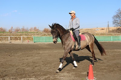 馬とパートナーになる本当の乗馬