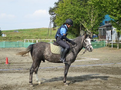 馬とハッピーコミュニケーション