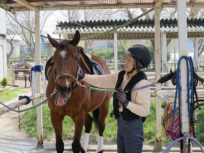 馬との話し方