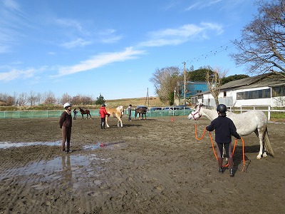 馬とグランドワーク
