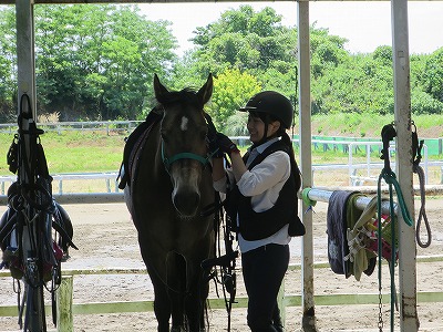 乗馬に本気