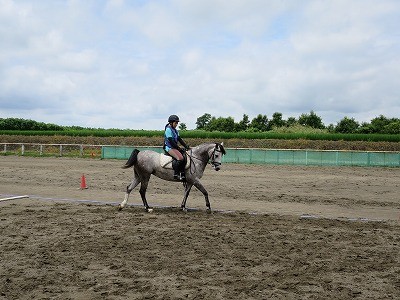 乗馬の楽しみ！