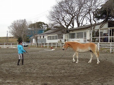 馬と最高の一日！