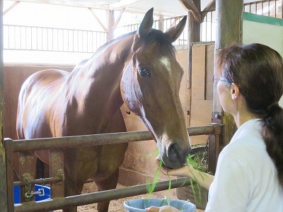 牧草収穫！馬達にあげよう