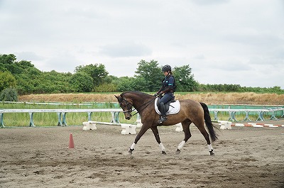 馬乗りはハートが８割