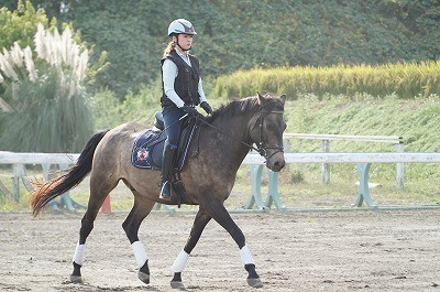 ススキと乗馬