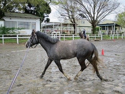 リズムに乗って