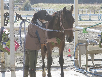 素敵な乗馬体験