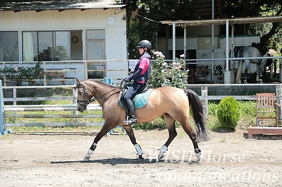 信頼を大切にする乗馬