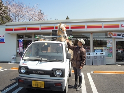 馬もお花見にお出かけ