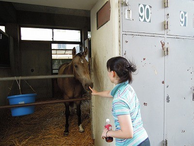 馬と愛情タッチ