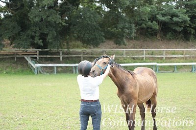 馬との信頼関係
