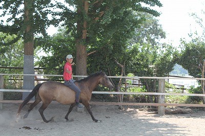 馬との信頼関係