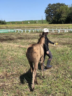 夢のような時間