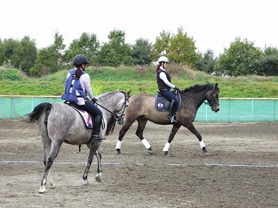 馬と仲良くきれいな騎乗